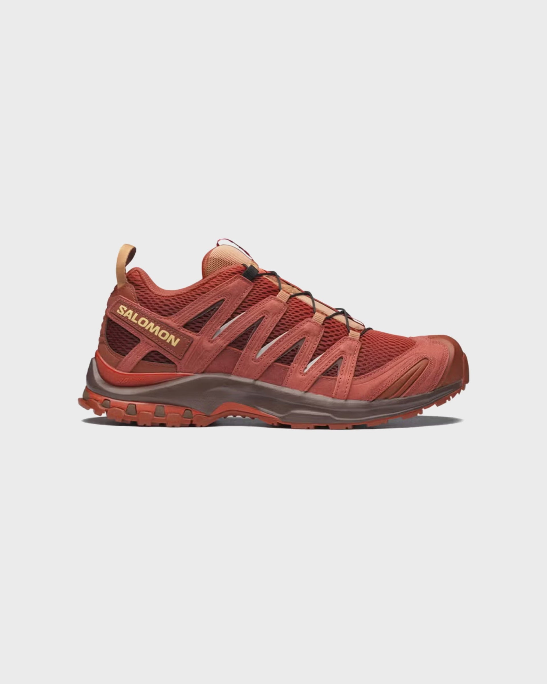 Salomon