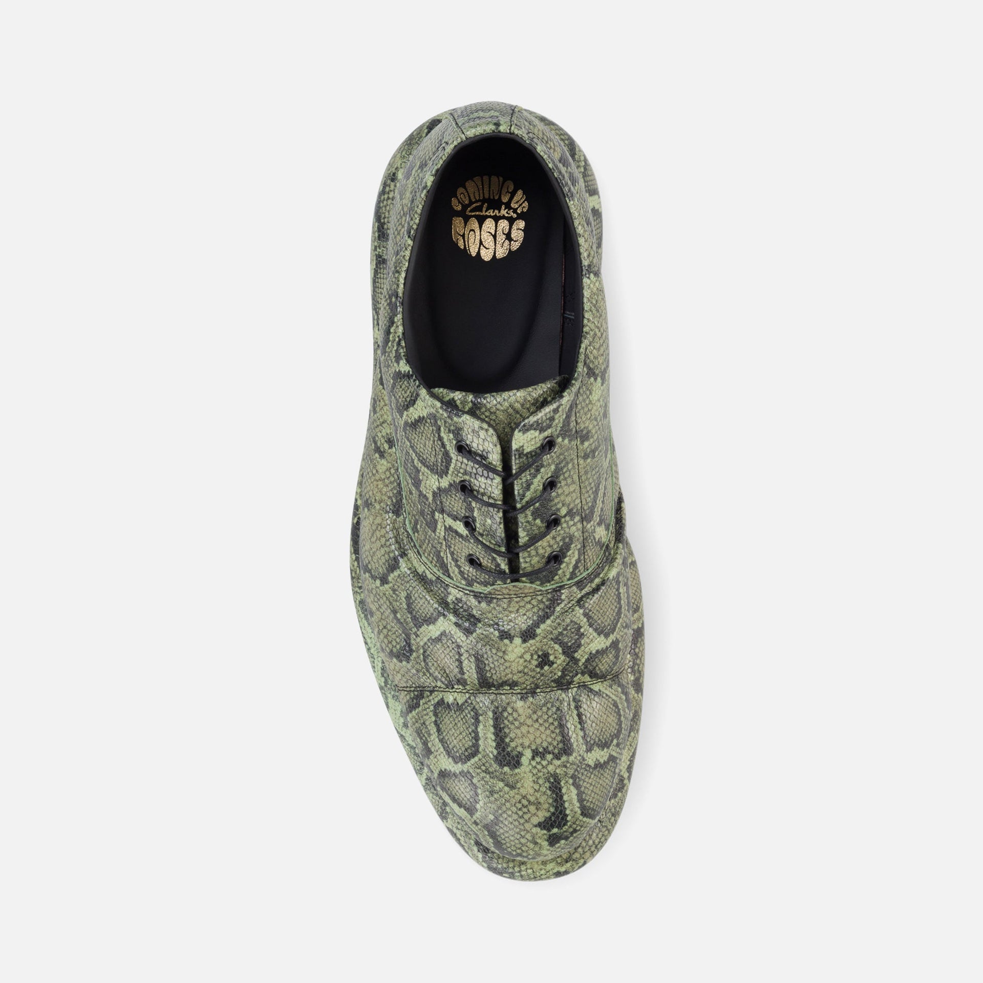 Clarks x Martine Rose The Oxford 1 - Green Snake