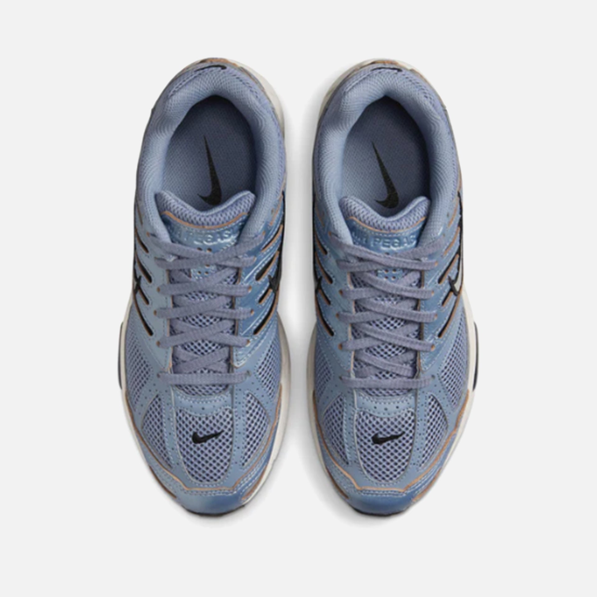 Nike WMNS Air Pegasus 2005 C.O.R. -  Ashen Slate / Light Orewood Brown / Light Carbon / Chrome