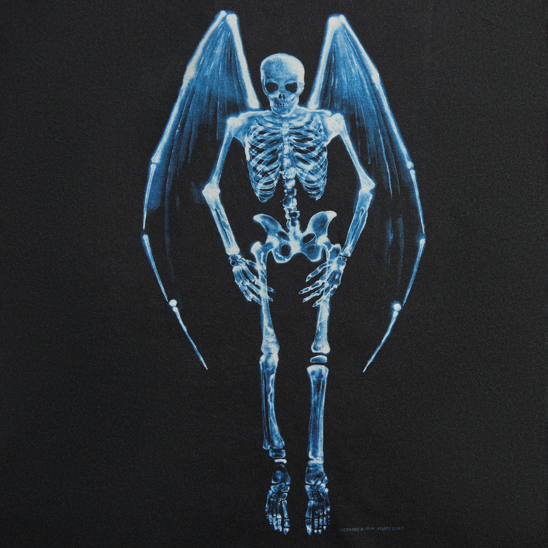 Our Legacy Cruise Long Sleeve Tee - Fallen Angel Print