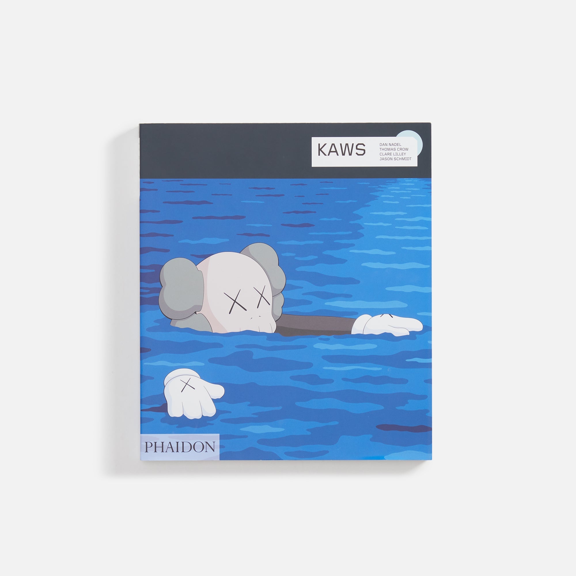 Amazon.com: KAWS (Phaidon Contemporary Artists Series