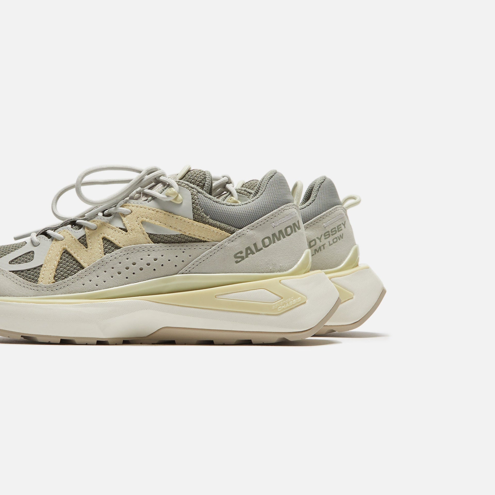 Salomon Odyssey ELMT GTX - Shadow / Metal / Aloe Wash