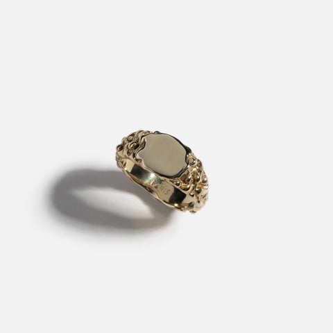 Faris Small ROCA Signet Ring - 14k Gold Plated Bronze