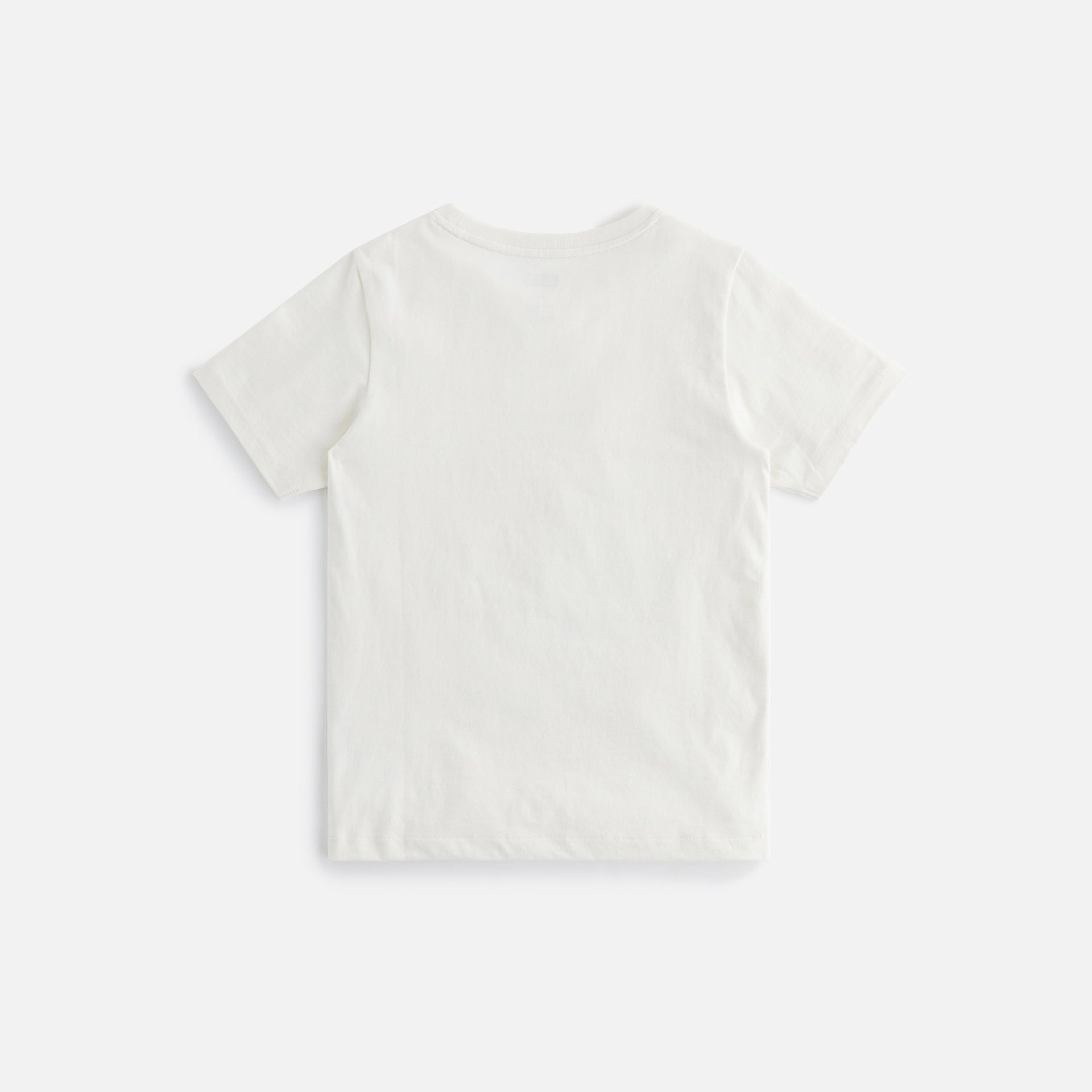 Kith Kids Art Of Nature Tee - Sandrift