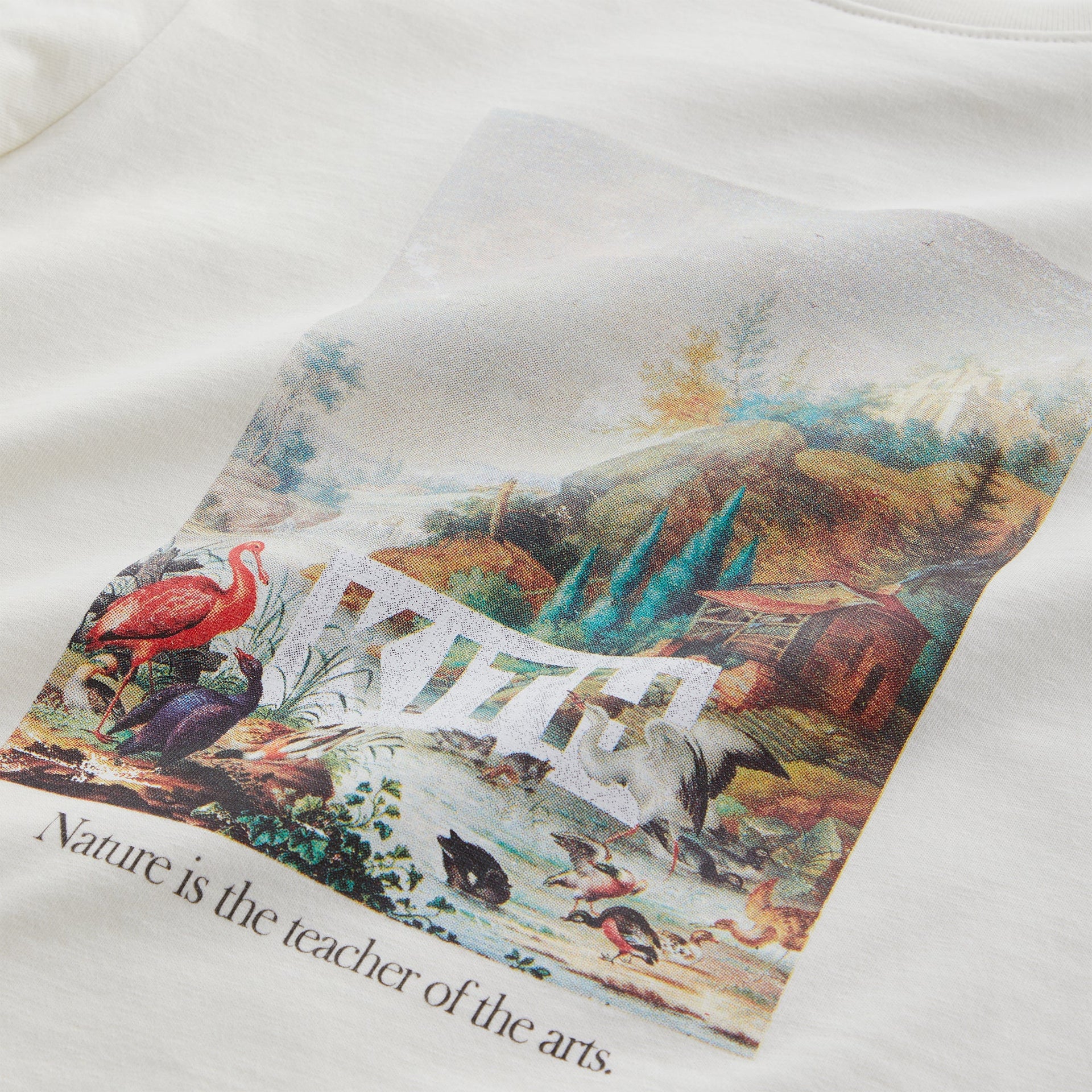 Kith Kids Art Of Nature Tee - Sandrift