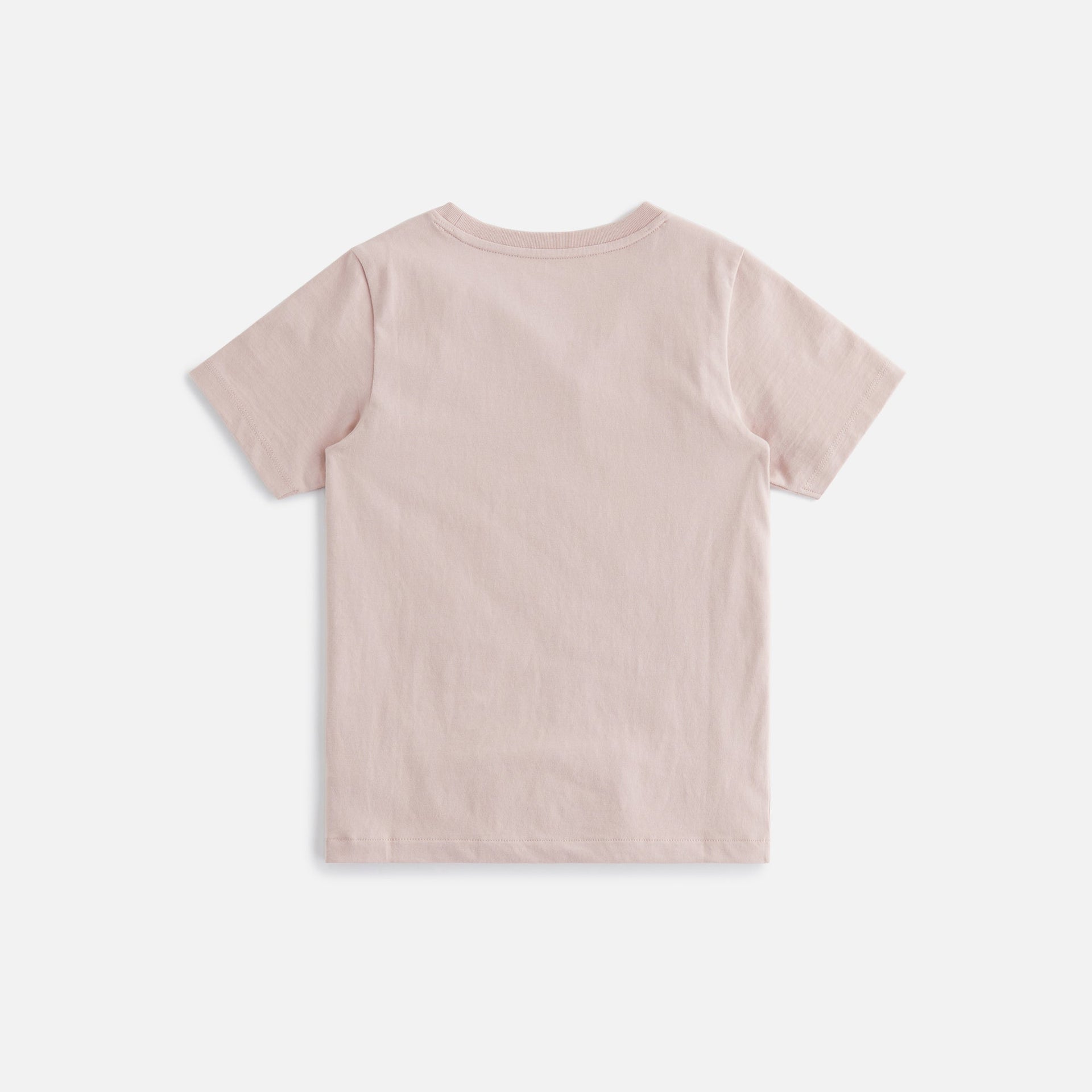 Kith Kids Art Of Nature Tee - Morganite