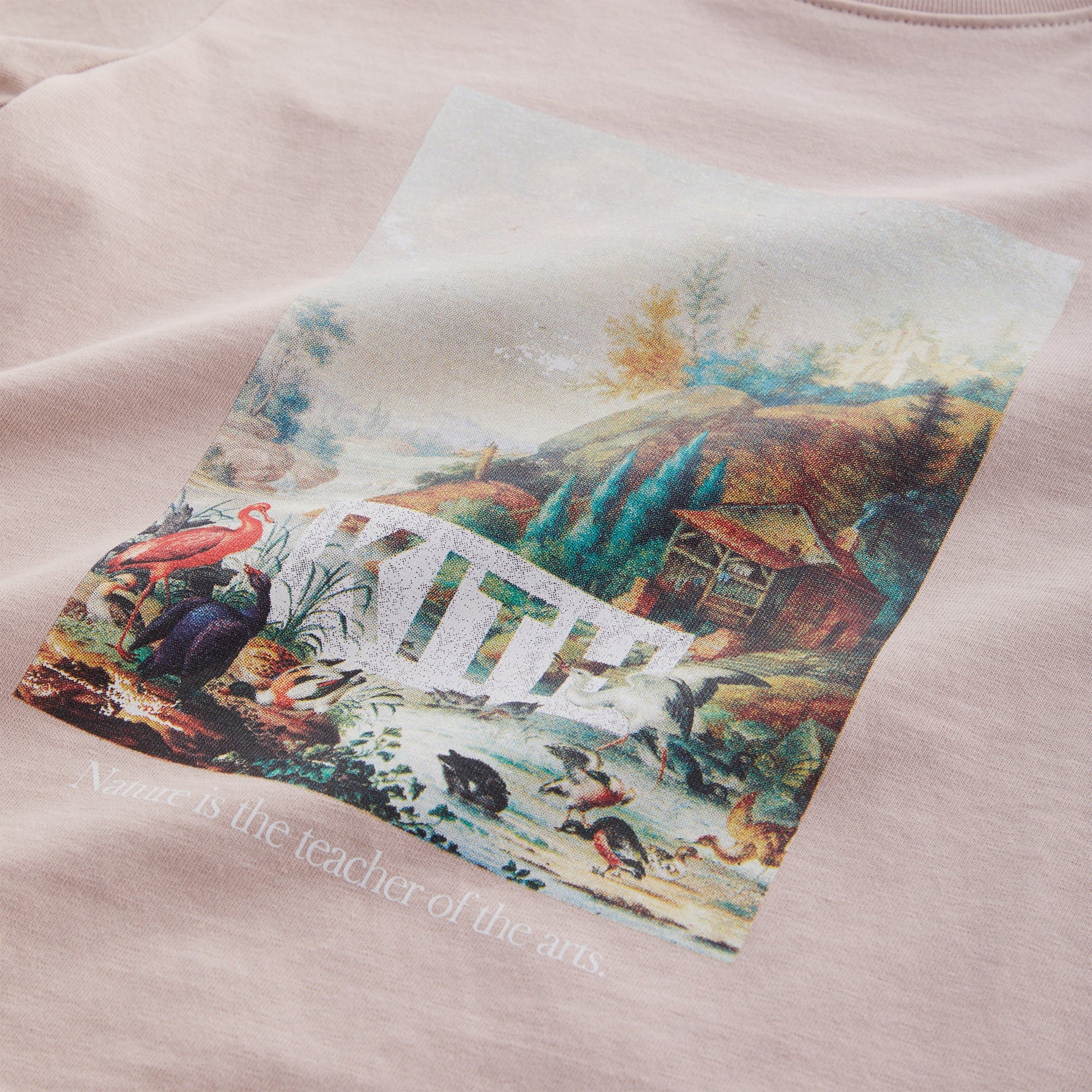 Kith Kids Art Of Nature Tee - Morganite