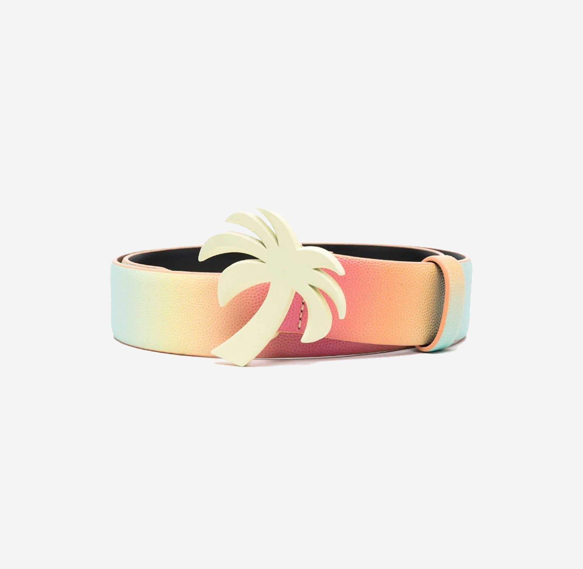 Palm Angels Rainbow Palm Beach Belt - Multi